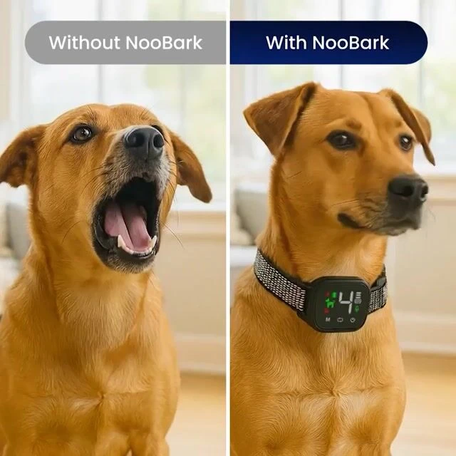 HappyScooper image